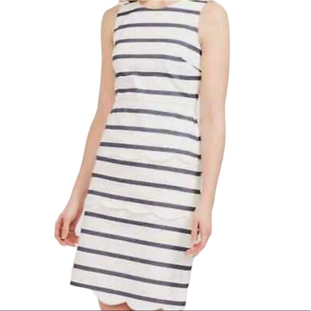 J. McLaughlin White with Navy Stripes Scallop Detail "Providence" Sheath Dress